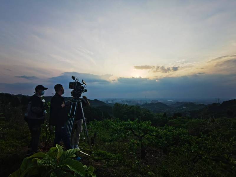 聚焦马村区产品宣传视频拍摄公司，用专业实力铸就品牌传播传奇