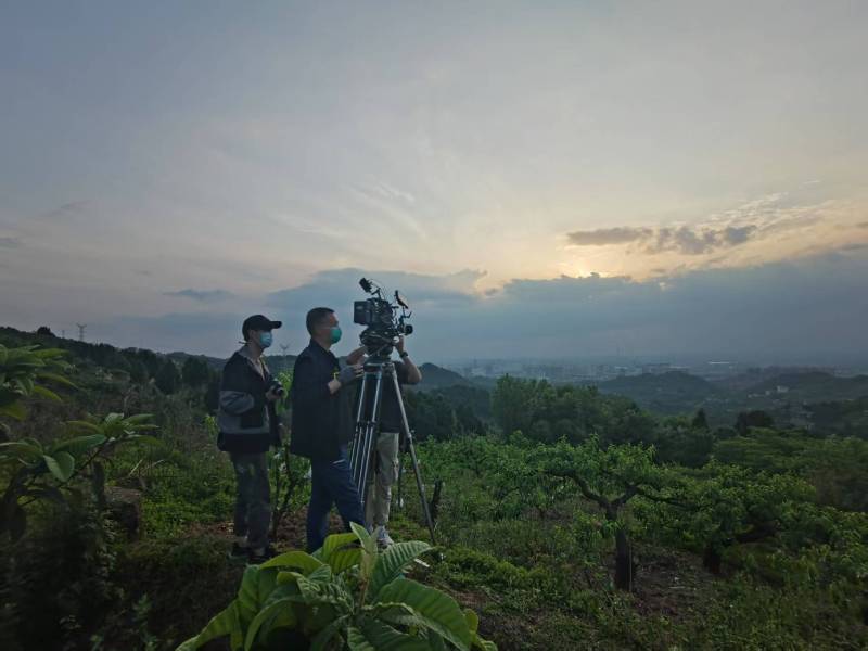 创意破圈！马村区电商产品宣传视频用故事化叙事引爆流量