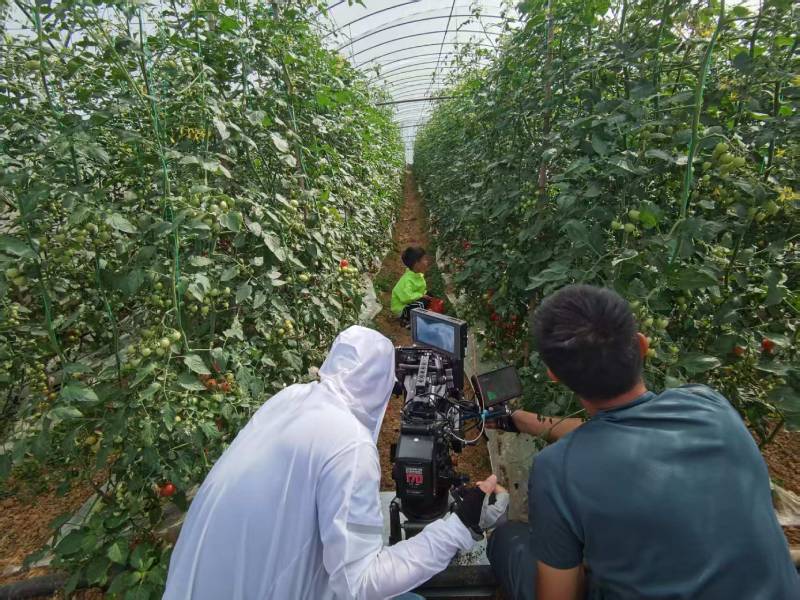 马村区产品宣传视频拍摄公司进阶指南，助力品牌抢占传播高地